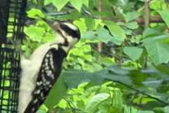 968707d4-05e8-4119-9c84-5e23f6bbc4bd
