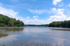Lake Logan