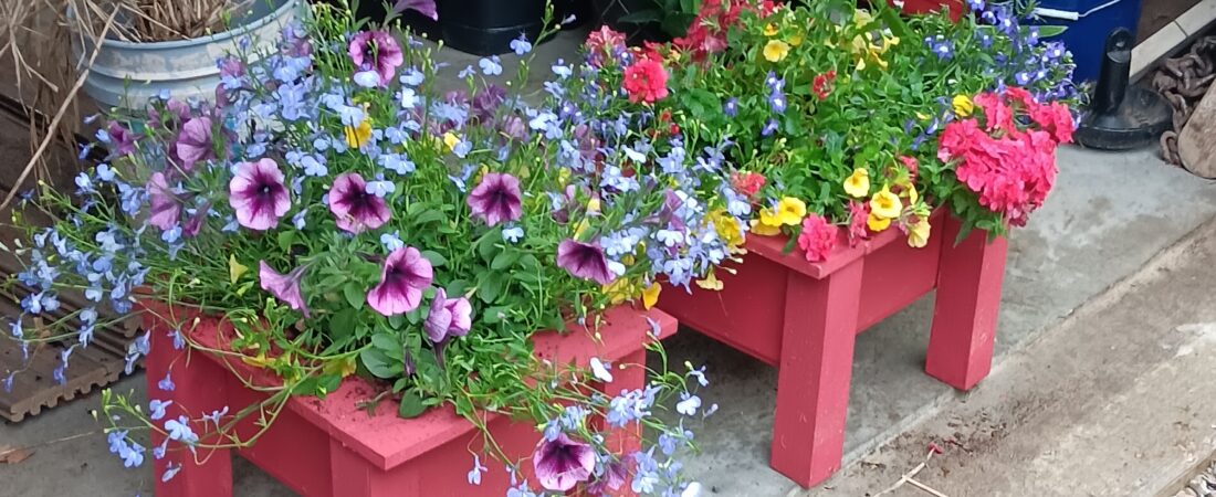 Flower Planting Day