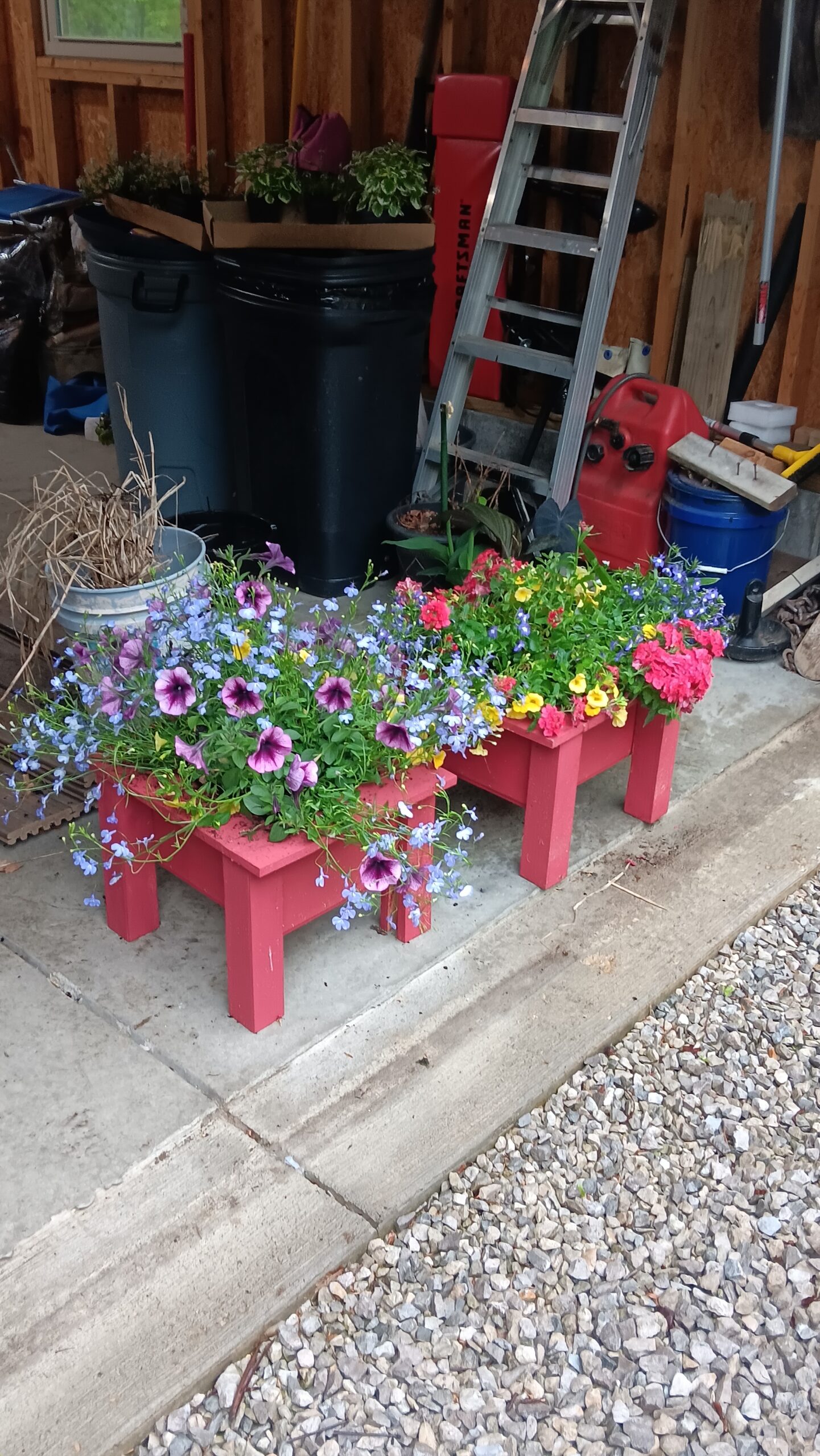 Flower Planting Day